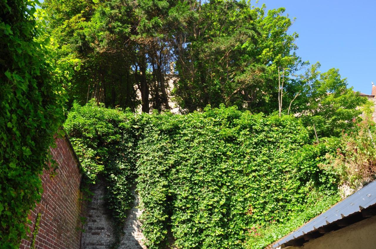 Studio Cosy - Le Chatelain Dieppe Exteriér fotografie